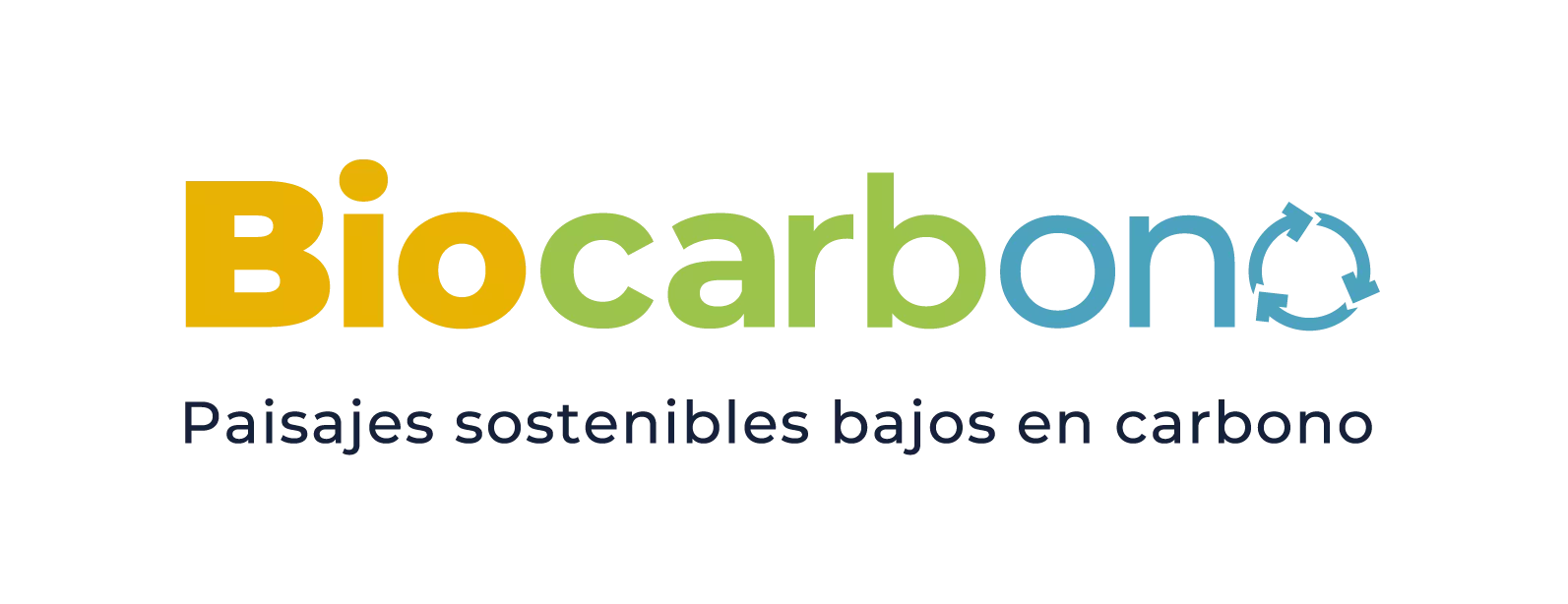el proyecto bicarbonato