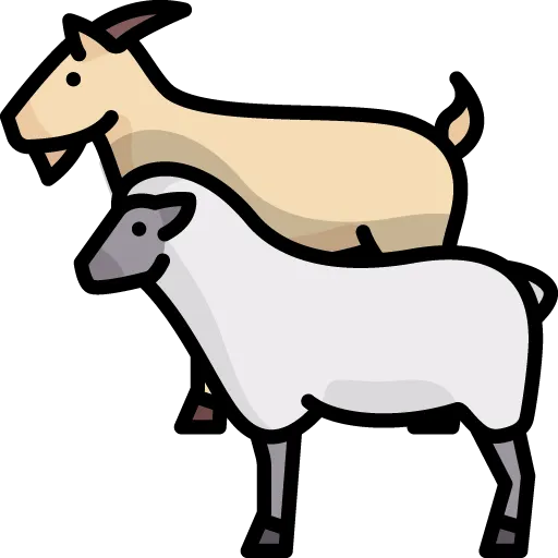 Cadena ovino caprina Cadena ovino caprina