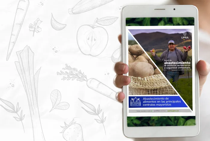 Consulta el boletín de abastecimiento de productos agropecuarios y seguridad alimentaria Septiembre de 2025 Consulta el boletín de abastecimiento de productos agropecuarios y seguridad alimentaria Septiembre de 2025