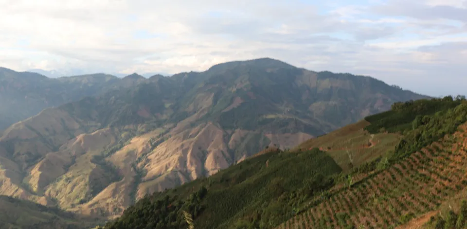 Concordia protege más de 13.000 hectáreas de zonas rurales para la producción de alimentos Concordia protege más de 13.000 hectáreas de zonas rurales para la producción de alimentos